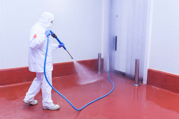 Boat and Dock Cleaning in Northdale, FL